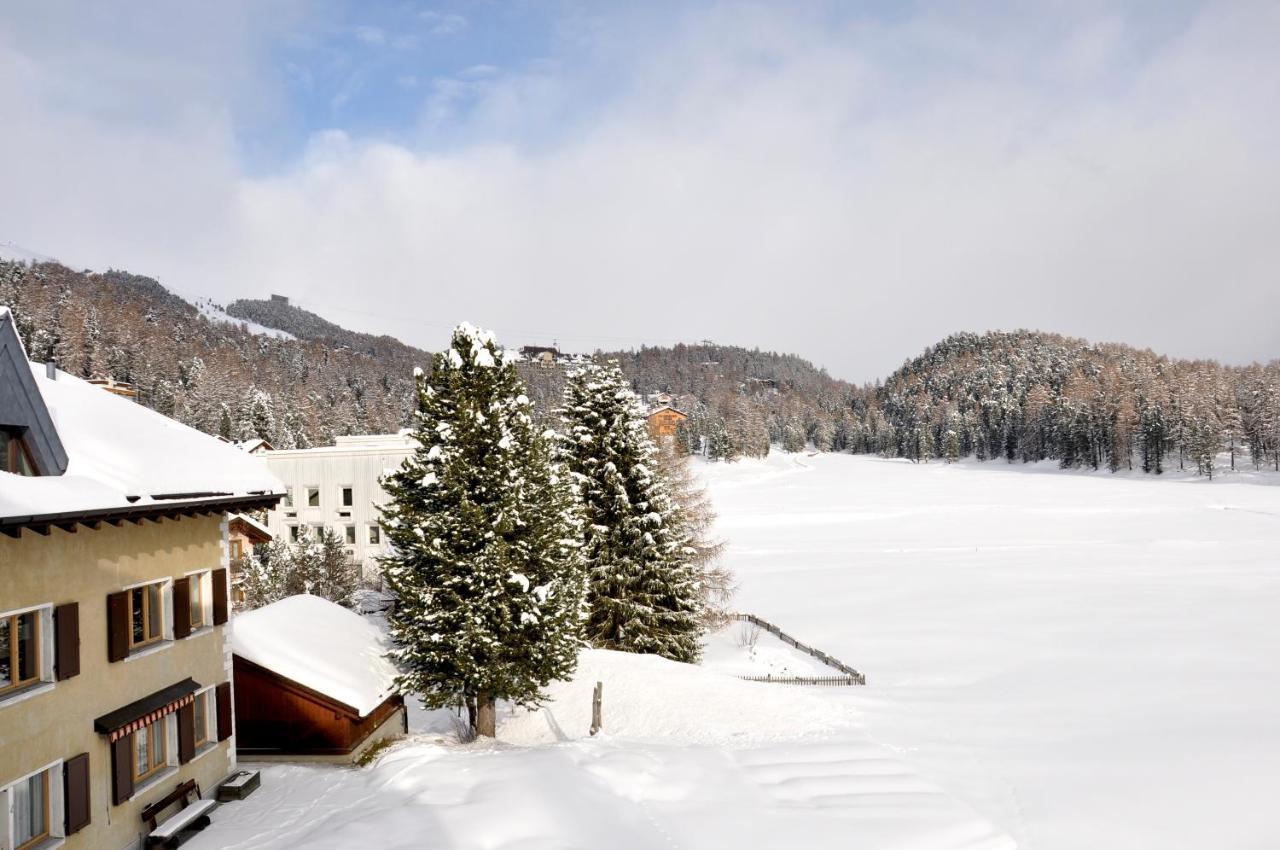 Cosy Apartment Facing Piz Rosatsch St. Moritz Exteriör bild